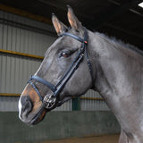 Whitaker Ready To Ride Snaffle Bridle Black Bridles Pony Black Barnstaple Equestrian Supplies