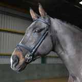 Black leather whitaker ready to ride snaffle bridle with silver hardware pre-oiled leather for smooth riding