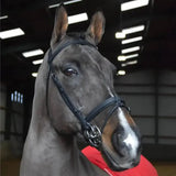 Whitaker ready to ride snaffle bridle black made of sleek pre-oiled leather with silver metal hardware for riding