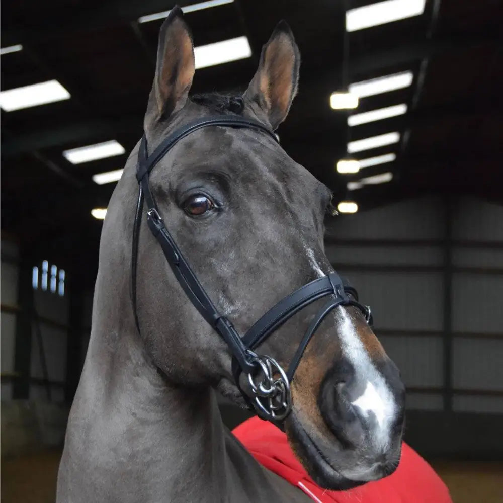 A sleek black leather whitaker ready to ride snaffle bridle with polished metal hardware and pre-oiled leather