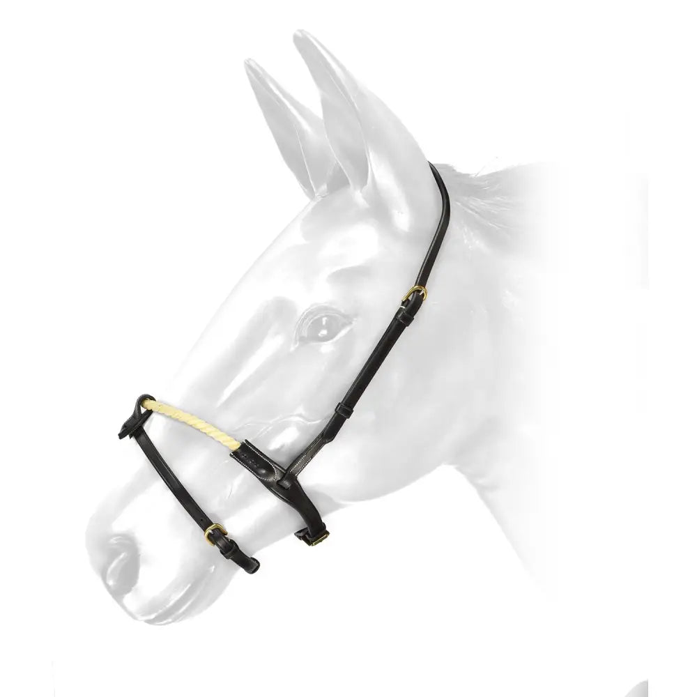 Black leather whitaker rnb rope noseband black with gold metal hardware and light beige noseband detail
