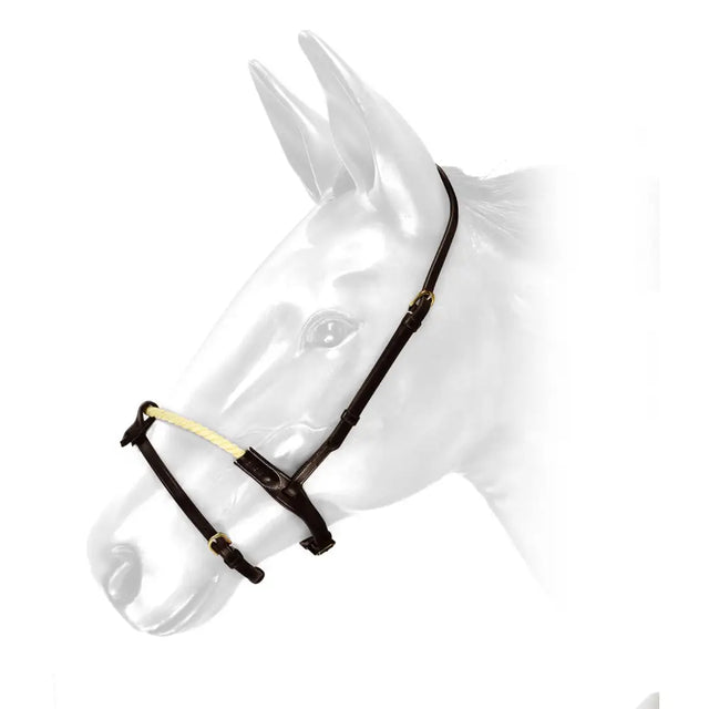 Black leather horse bridle with whitaker rnb rope cream noseband oak brown and gold metal hardware