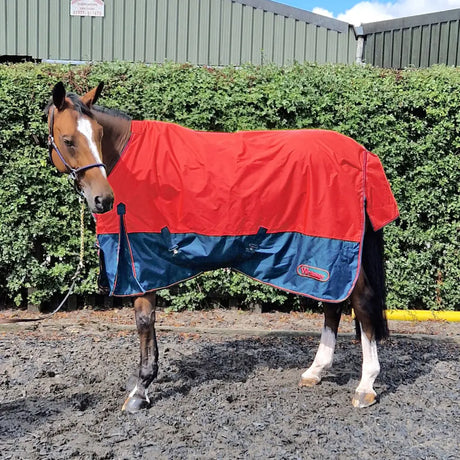 Whitaker Rudston Turnout Rug 50Gm Red 5' 6" Red 