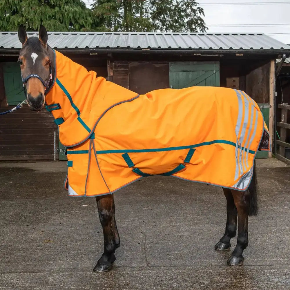 Whitaker Seacroft Turnout Rug Detachable Neck 200gm Orange 4'9" Reflective Orange Turnout Rugs Barnstaple Equestrian Supplies