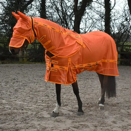 Whitaker Swot Fly Rug & Mask Orange 5'0" Orange Fly Rugs