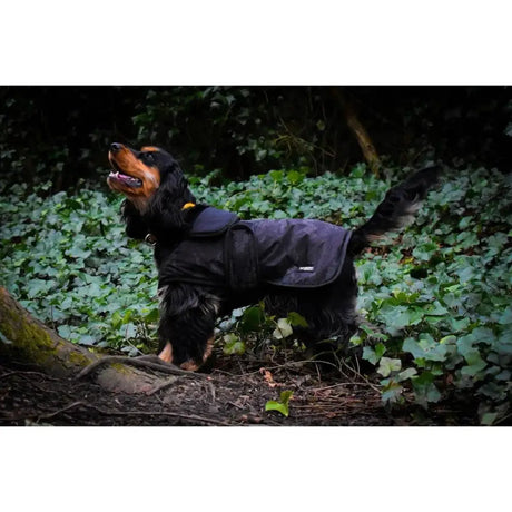 Whitaker Sydney Dog Coat Black Camo Small Black Camo Dog Coat Barnstaple Equestrian Supplies