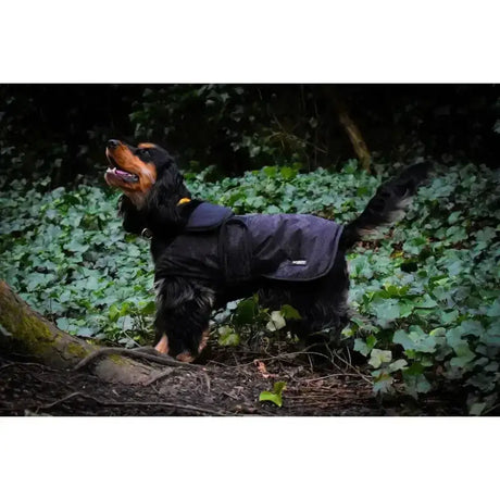 Black waterproof dog coat showing the back with a small logo perfect for outdoor use whitaker sydney dog coat