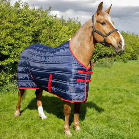 Navy blue quilted whitaker thomas stable rug 250gm with red trim and buckles for horse comfort and protection