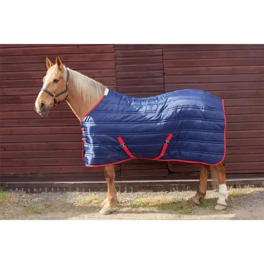 Blue quilted stable rug 250gm with red trim and straps from whitaker thomas perfect for horse comfort