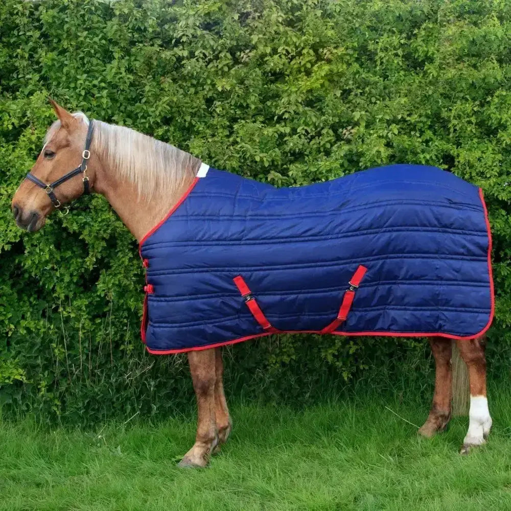 Blue quilted stable rug 250gm with red trim and adjustable straps from whitaker thomas stable rug collection