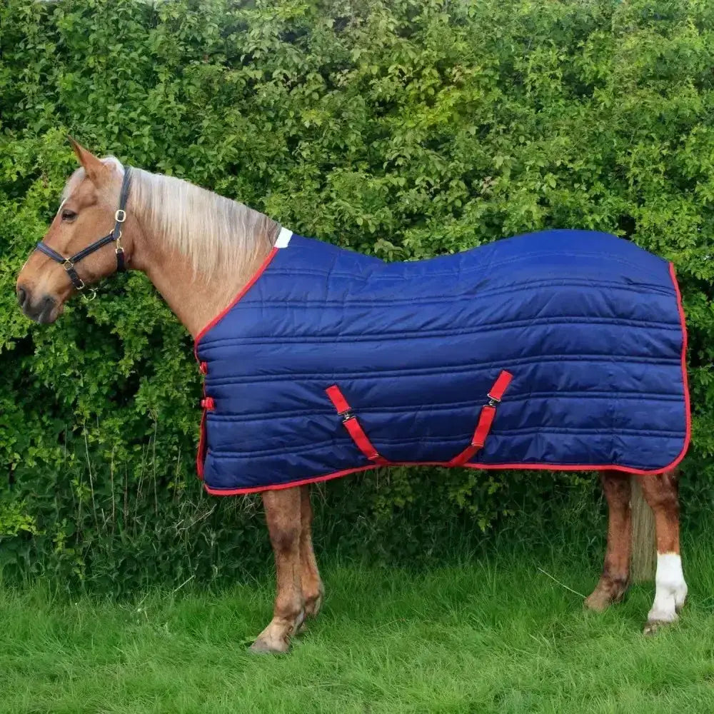 Navy blue quilted whitaker thomas stable rug 250gm with red trim and adjustable straps for horse warmth
