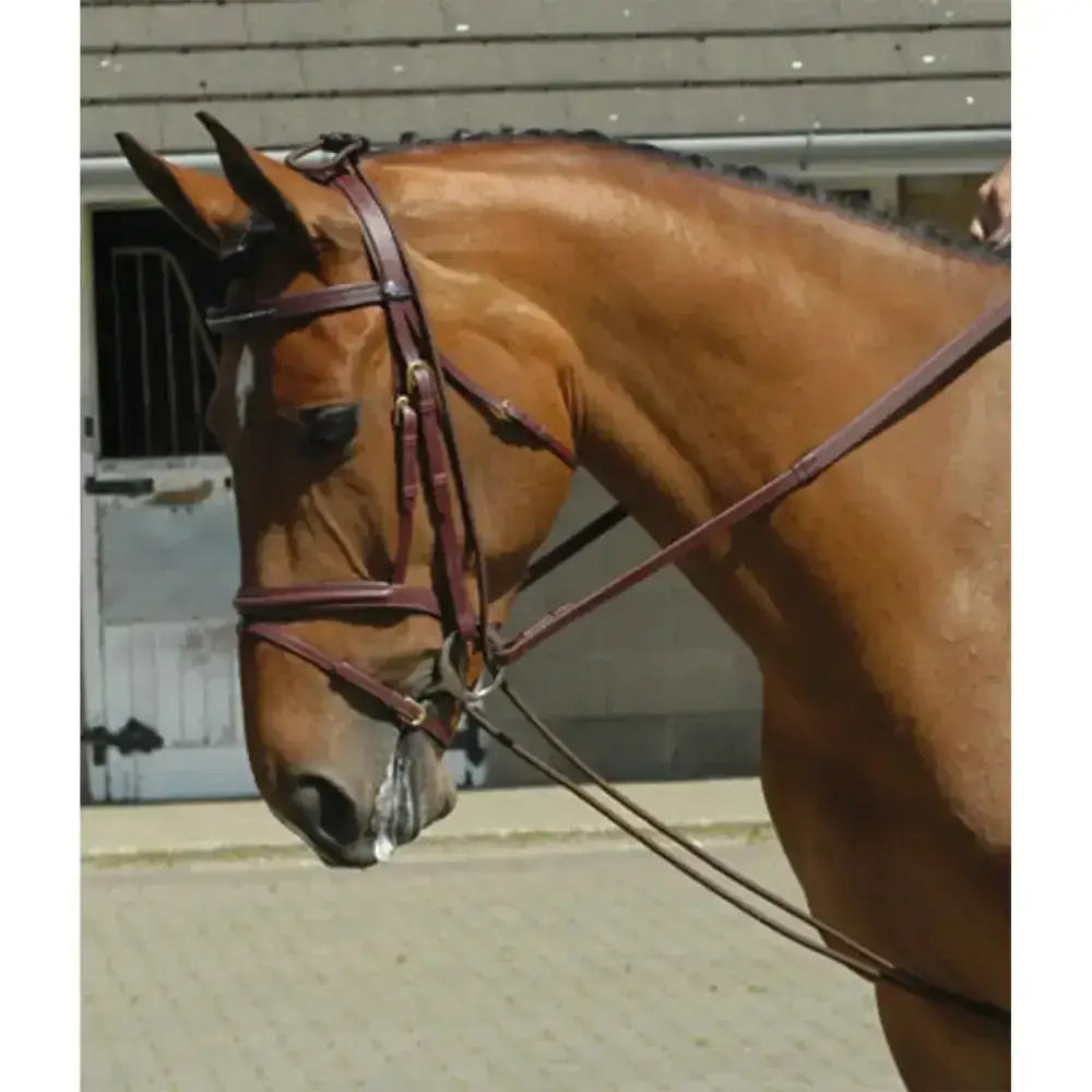 Brown horse wearing a dark brown leather bridle with metal hardware featuring the whitaker training rein for horse’s neck