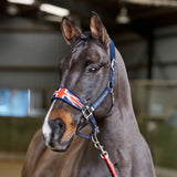 A dark gray horse wearing a navy blue whitaker ujhcp union jack jack padded headcollar with name printed