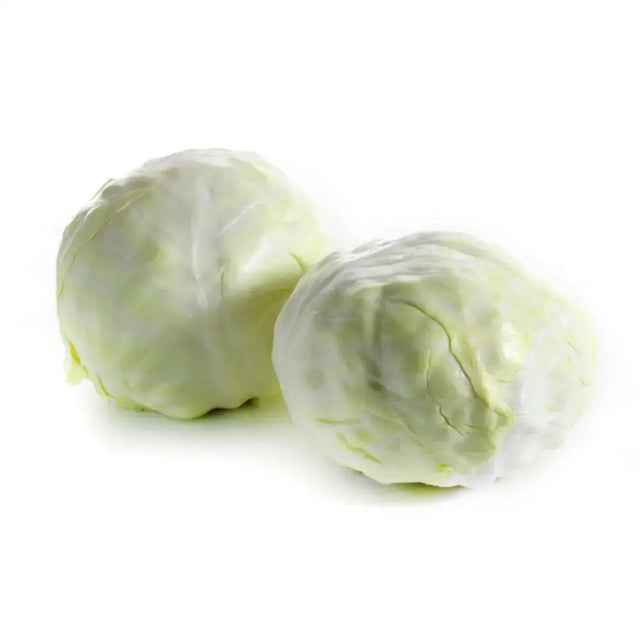 Two fresh green white cabbage heads with tightly packed leaves and a slightly textured surface perfect for salads