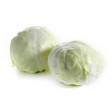 White Cabbage vegetables