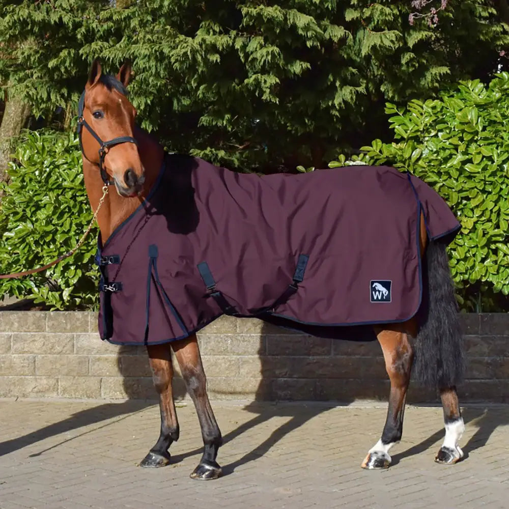 Dark purple turnout rug with black trim, adjustable straps, and small side logo patch perfect for horses