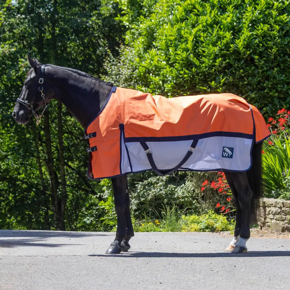 Orange and white w-horse airflo turnout rug whr28 w-horse with black trim adjustable straps and mesh skirt detail