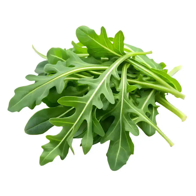 Fresh green wild rocket salad leaves with serrated edges in a vibrant rocket salad box ideal for credit card size storage