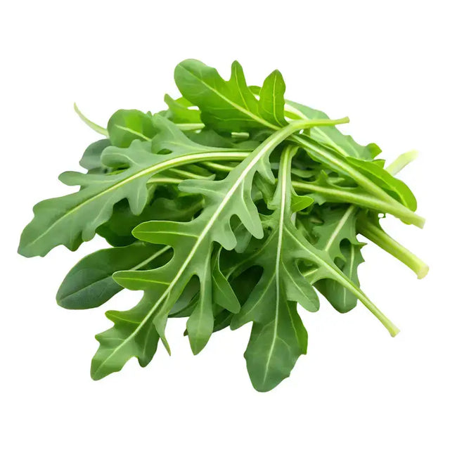 Fresh green wild rocket salad leaves with serrated edges in a vibrant rocket salad box ideal for credit card size storage