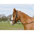Black leather windsor anatomical flash bridle with brass hardware and padded leather crown for comfortable fit