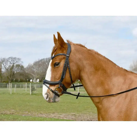 Black leather windsor anatomical flash bridle with brass hardware and padded leather crown for comfortable riding
