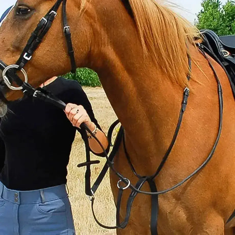 Black leather running martingale with silver hardware from windsor equestrian leather for secure horse control