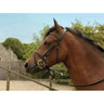 Windsor Leather Bridle With Flash Nosebands Havana Full Rhinegold Bridles Barnstaple Equestrian Supplies