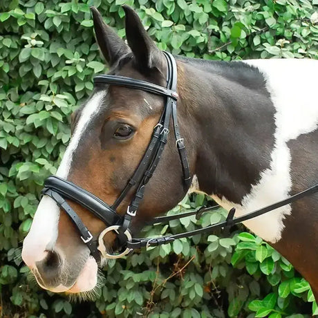 Black leather windsor leather comfort bridle with crank style flash noseband and silver metal hardware