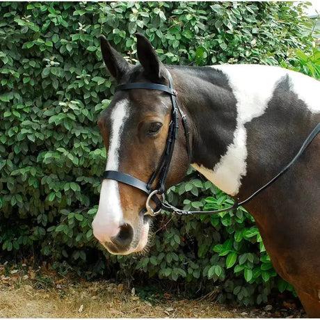 Windsor Leather Hunter Bridle Cavesson Noseband Havana Full Bridles Barnstaple Equestrian Supplies