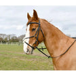 Black leather windsor mexican bridle with silver hardware and raised padded browband featuring mexican style noseband