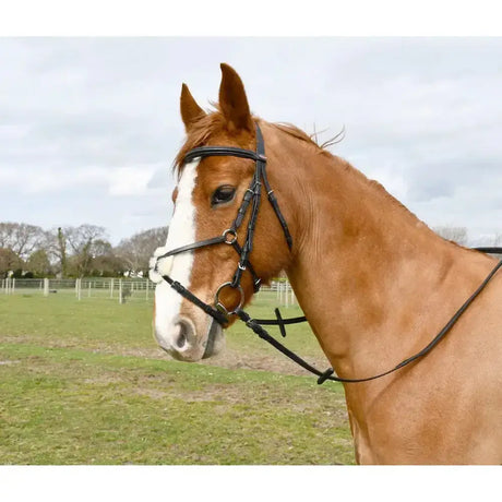 Black leather windsor mexican bridle with silver hardware and raised padded browband featuring mexican style noseband