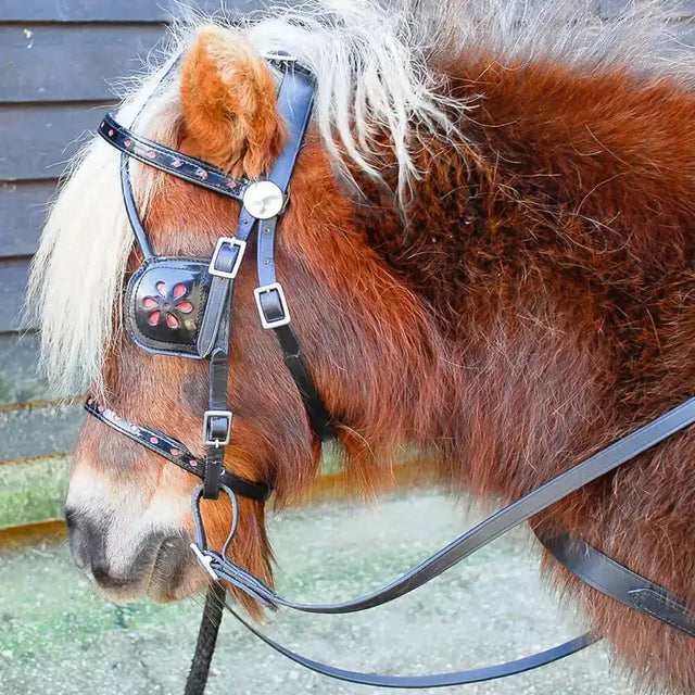 Windsor Miniature Leather Harness Black Mini Shetland Harness Barnstaple Equestrian Supplies