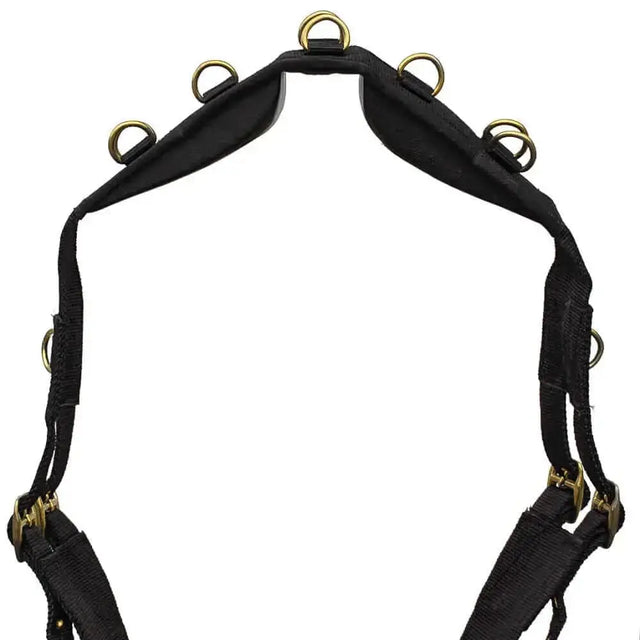 Black leather horse harness with brass rings and buckles to attach lunging aids on windsor nylon lunging roller