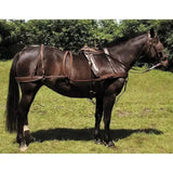 A dark brown horse wearing a windsor oily leather oily leather harness and bridle in a grassy field