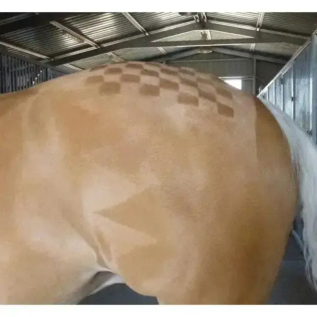 A light brown horse showing windsor quarter markers with a checkered pattern shaved into its back for horse grooming