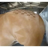 A light brown horse showing windsor quarter markers with a checkered pattern shaved into its back for horse grooming