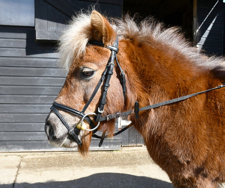 Windsor Small Pony Flash Bridle (inc Reins) Flash Bridles Barnstaple Equestrian Supplies