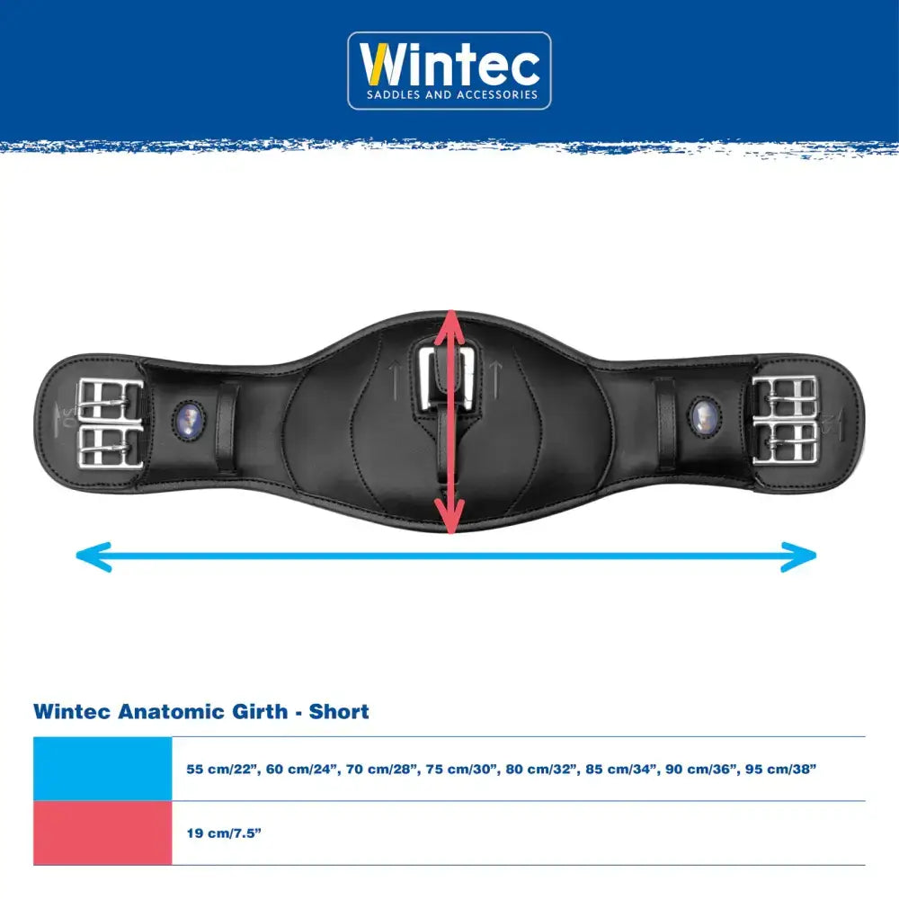 Black wintec anatomic girth short with silver metal buckles and adjustable straps for horse comfort scientifically proven