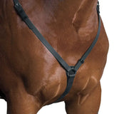 Black leather horse halter wintec bridleware with adjustable straps durable equi-leather for added convenience
