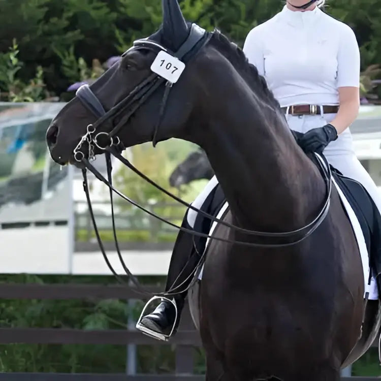 A sleek black horse wearing a well-fitted bridle and saddle with a woof wear digit dressage number holder