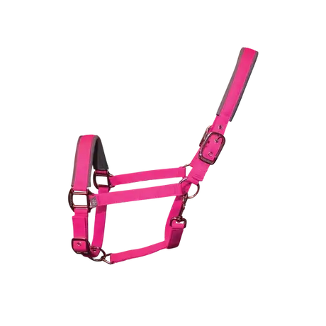Woof Wear Contour Head Collar Berry Pony Headcollars