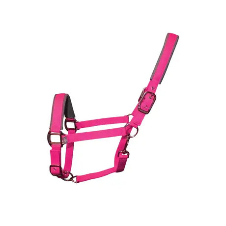 Bright pink leather woof wear contour head collar with silver hardware designed for key pressure points and long-lasting performance neoprene