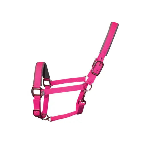 Bright pink leather woof wear contour head collar with silver hardware designed for key pressure points and long-lasting performance neoprene