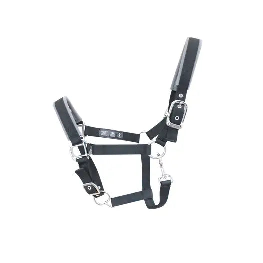 Black leather woof wear contour head collar with silver buckles and long-lasting performance neoprene at key pressure points