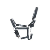 Black leather woof wear contour head collar with silver buckles and long-lasting performance neoprene at key pressure points