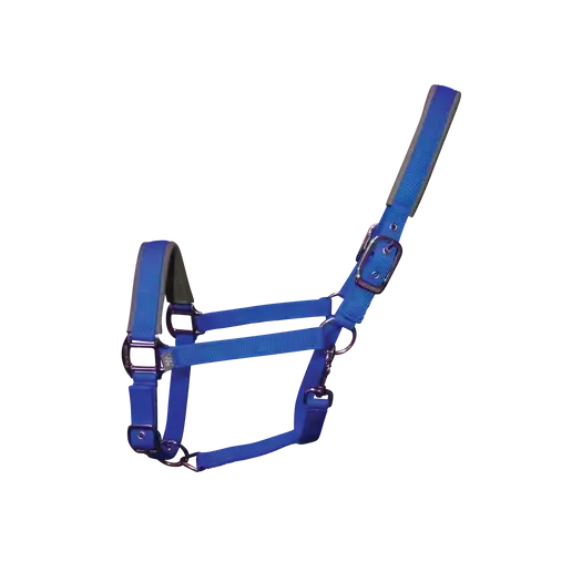 Woof Wear Contour Head Collar Electric Blue Pony Headcollars