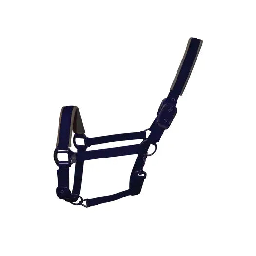 Dark blue leather woof wear contour head collar with padded ear pieces and metal hardware for key pressure points