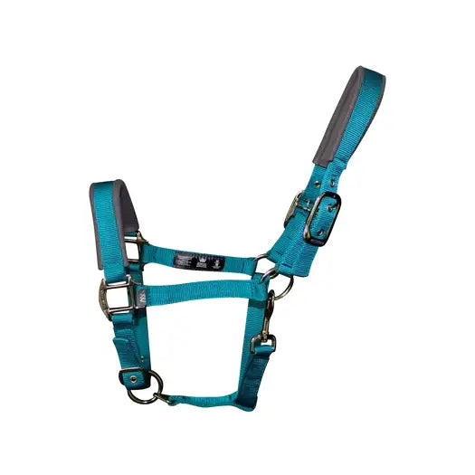 Teal woof wear contour head collar with gray padded neoprene lining and silver hardware for key pressure points
