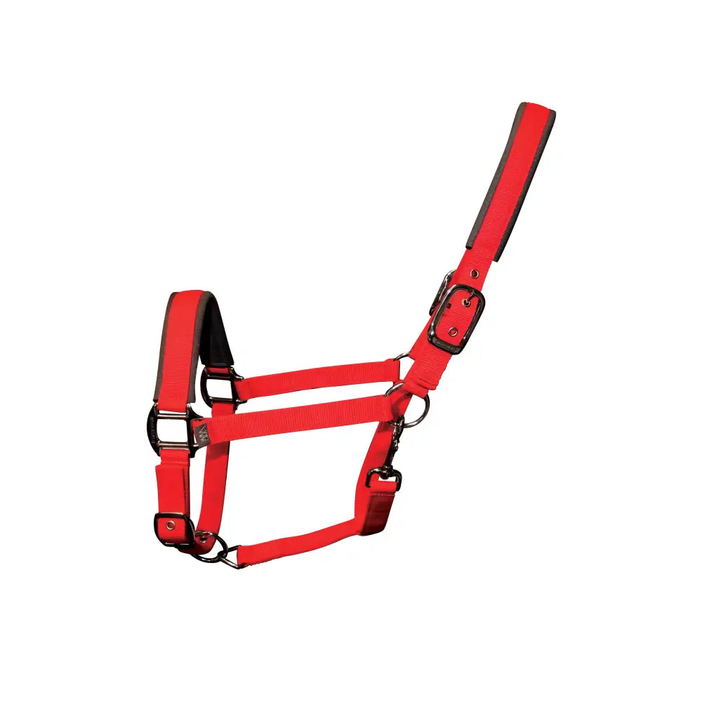 Bright red woof wear contour head collar with black metal hardware adjustable straps and long-lasting neoprene design targeting key pressure points