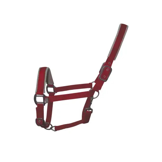 Red leather woof wear contour head collar with silver hardware and adjustable straps for key pressure points control